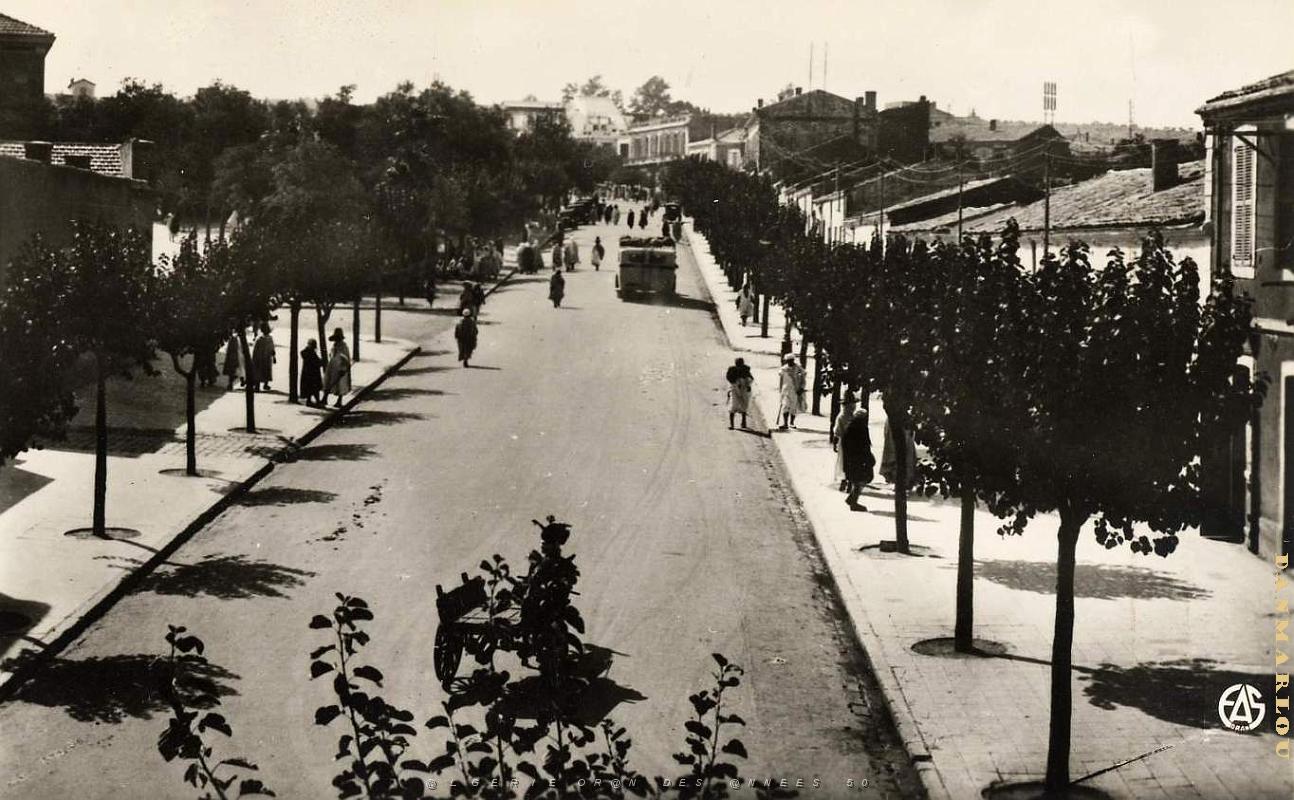 Saida 520- Avenue Gambetta COLLECTION DES AMIS DE ND DE SANTA CRUZ.jpg